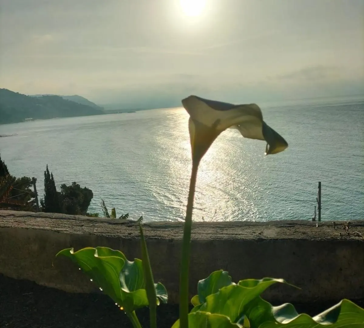 Appartamento Un Mare Di Fiori Ventimiglia 0*,