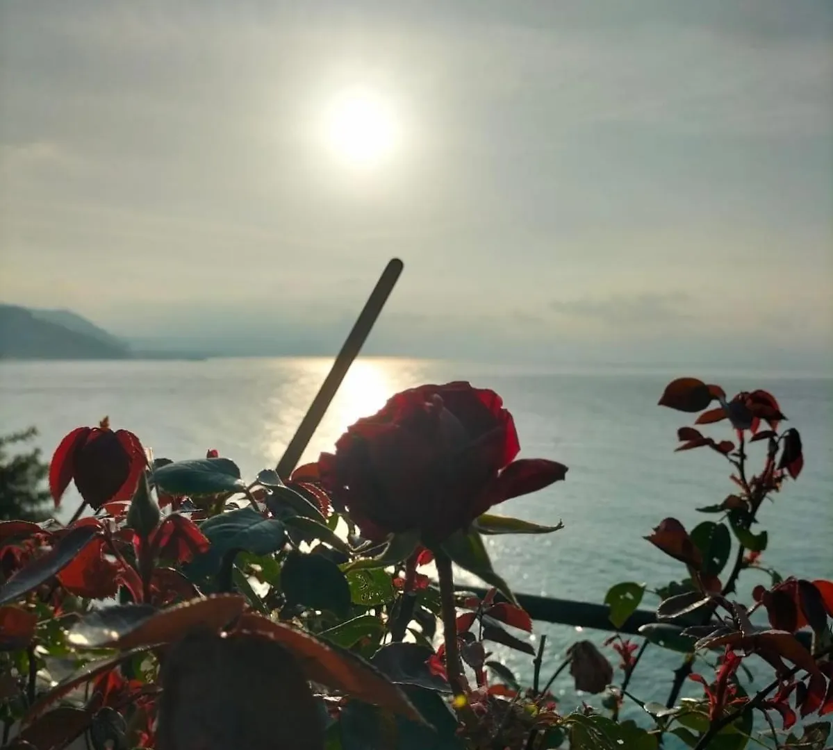 Appartamento Un Mare Di Fiori Ventimiglia Apartman