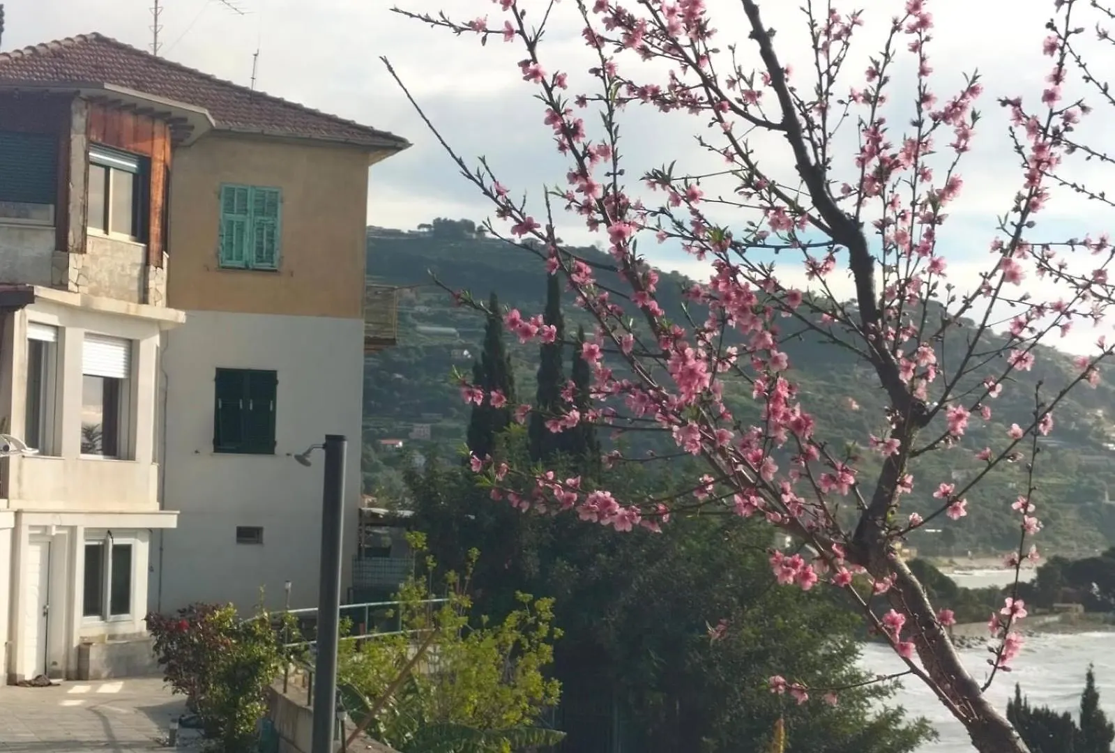 Appartamento Un Mare Di Fiori Ventimiglia Apartman