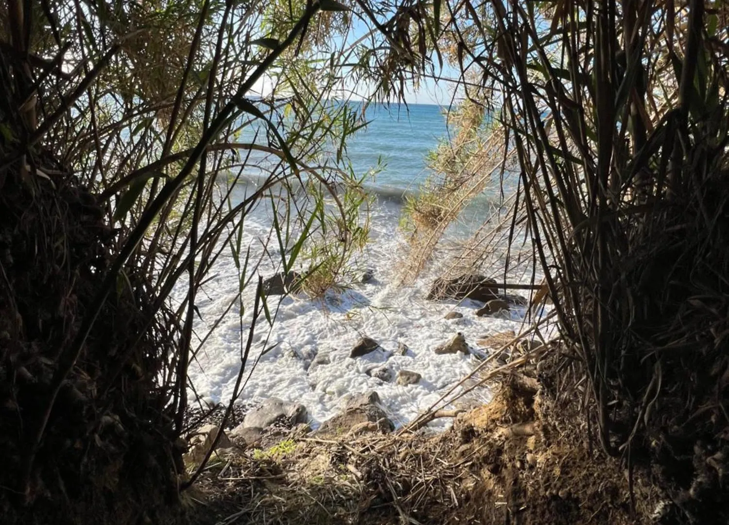 Appartamento Un Mare Di Fiori Ventimiglia