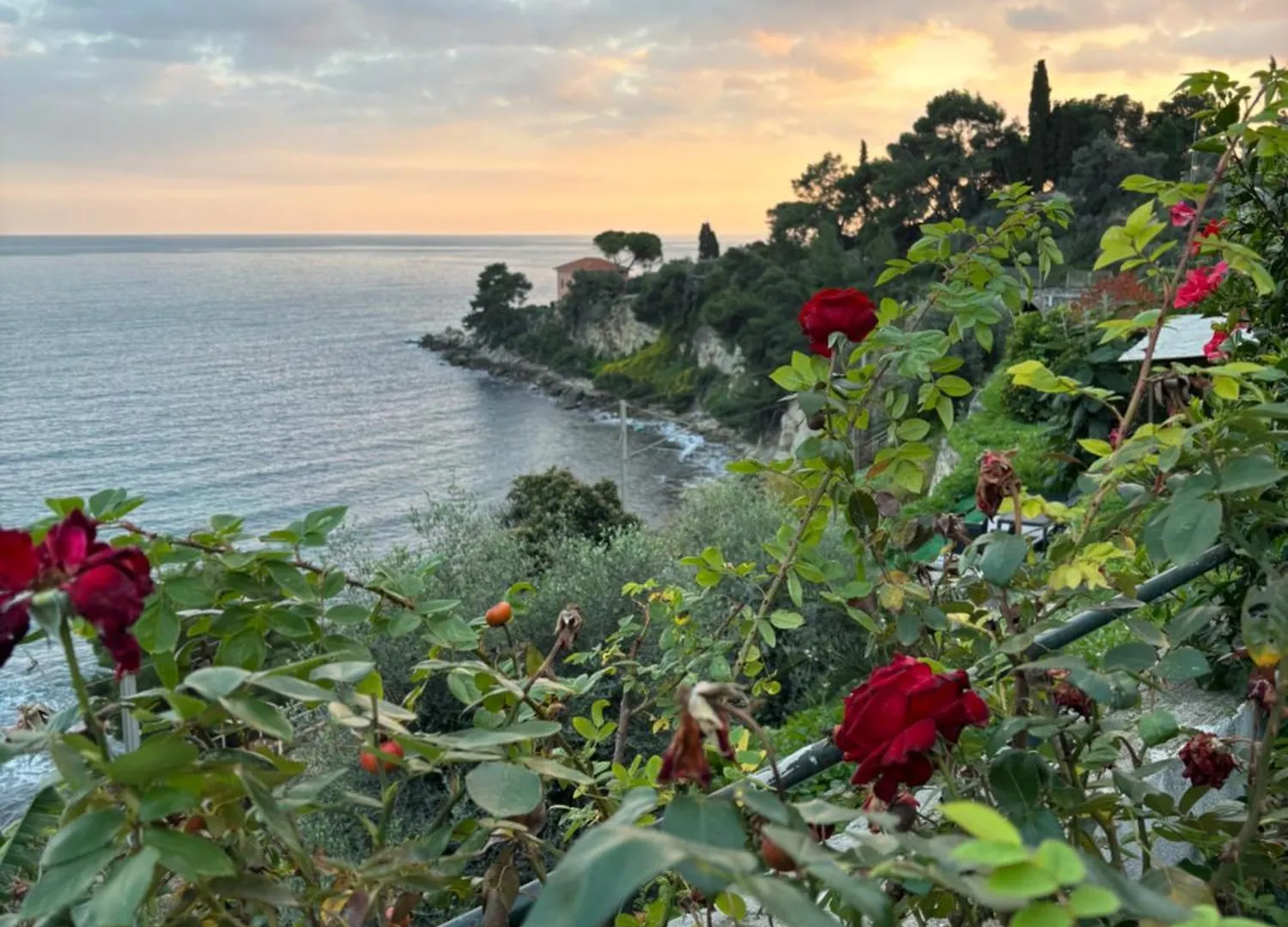 Appartamento Un Mare Di Fiori Ventimiglia 0*,